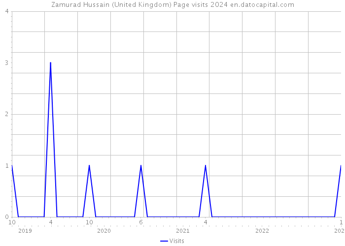 Zamurad Hussain (United Kingdom) Page visits 2024 