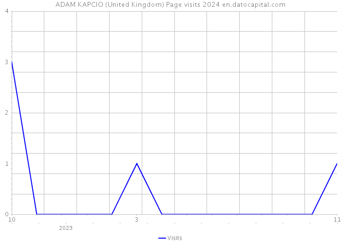ADAM KAPCIO (United Kingdom) Page visits 2024 