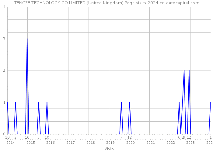 TENGZE TECHNOLOGY CO LIMITED (United Kingdom) Page visits 2024 
