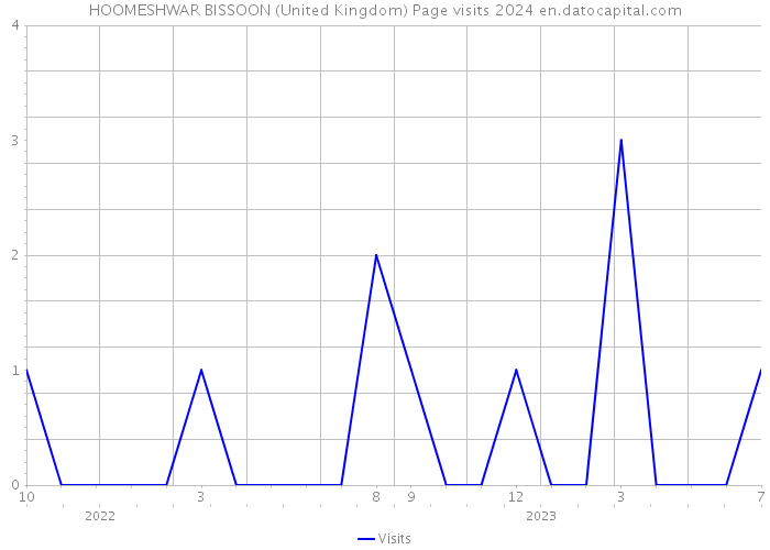 HOOMESHWAR BISSOON (United Kingdom) Page visits 2024 