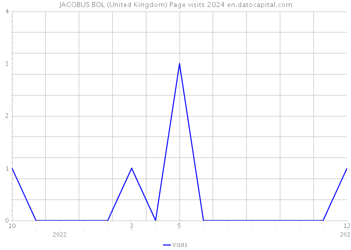 JACOBUS BOL (United Kingdom) Page visits 2024 
