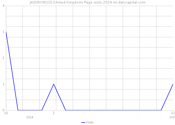 JASON HIGGS (United Kingdom) Page visits 2024 