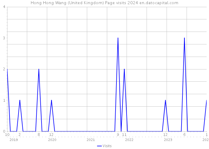 Hong Hong Wang (United Kingdom) Page visits 2024 