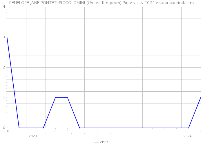 PENELOPE JANE PONTET-PICCOLOMINI (United Kingdom) Page visits 2024 