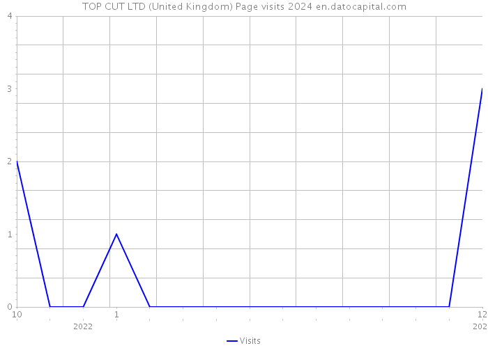 TOP CUT LTD (United Kingdom) Page visits 2024 