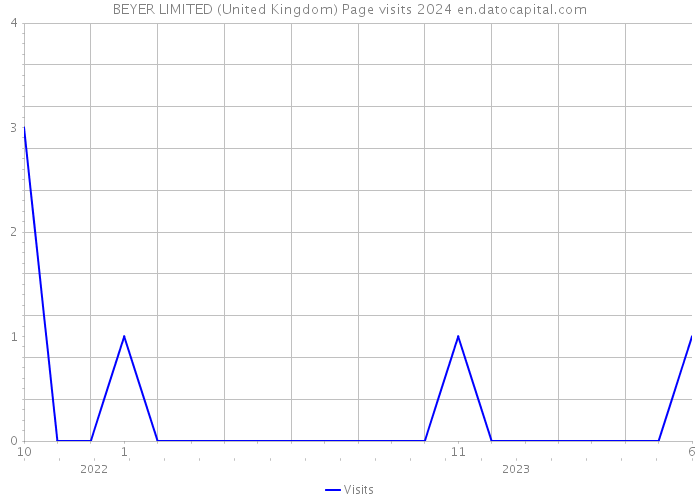 BEYER LIMITED (United Kingdom) Page visits 2024 
