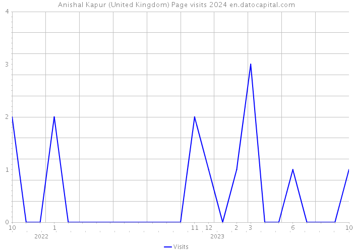 Anishal Kapur (United Kingdom) Page visits 2024 