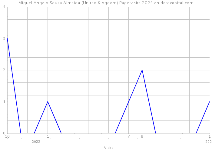Miguel Angelo Sousa Almeida (United Kingdom) Page visits 2024 