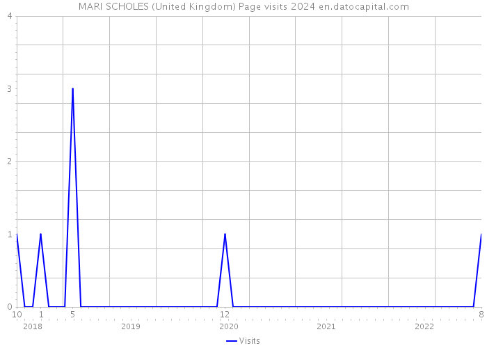 MARI SCHOLES (United Kingdom) Page visits 2024 
