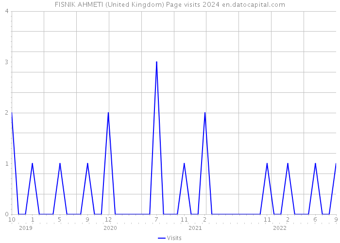 FISNIK AHMETI (United Kingdom) Page visits 2024 