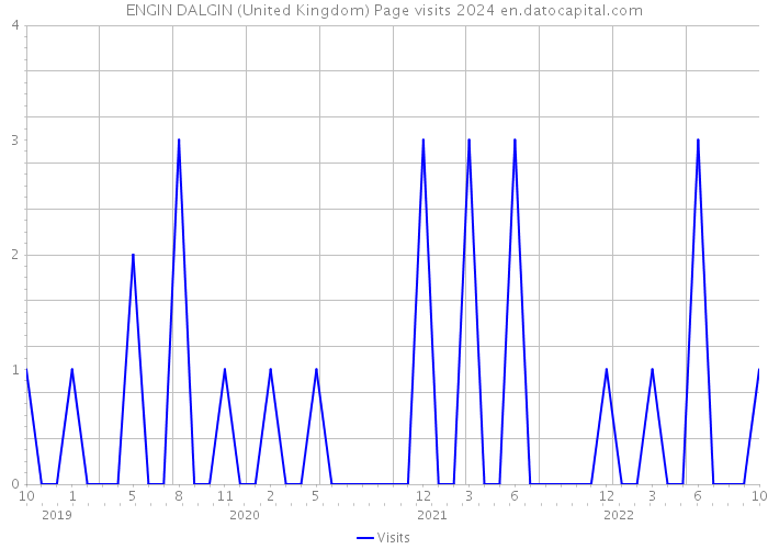 ENGIN DALGIN (United Kingdom) Page visits 2024 