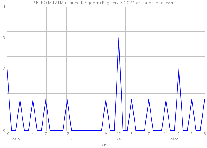 PIETRO MILANA (United Kingdom) Page visits 2024 