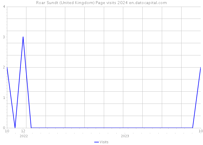 Roar Sundt (United Kingdom) Page visits 2024 