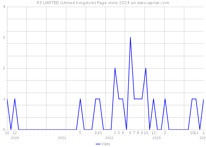 R3 LIMITED (United Kingdom) Page visits 2024 