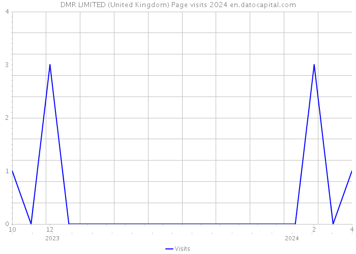 DMR LIMITED (United Kingdom) Page visits 2024 