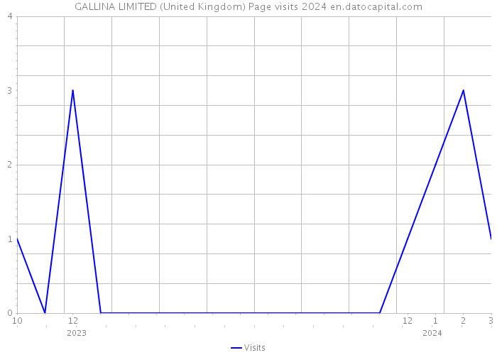 GALLINA LIMITED (United Kingdom) Page visits 2024 