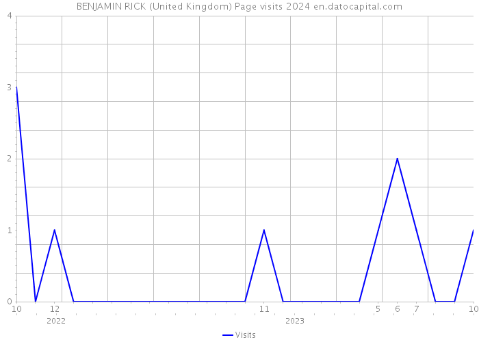 BENJAMIN RICK (United Kingdom) Page visits 2024 