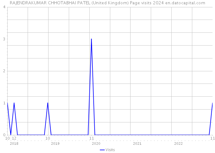RAJENDRAKUMAR CHHOTABHAI PATEL (United Kingdom) Page visits 2024 