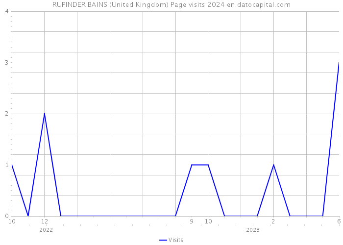 RUPINDER BAINS (United Kingdom) Page visits 2024 