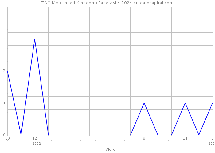 TAO MA (United Kingdom) Page visits 2024 
