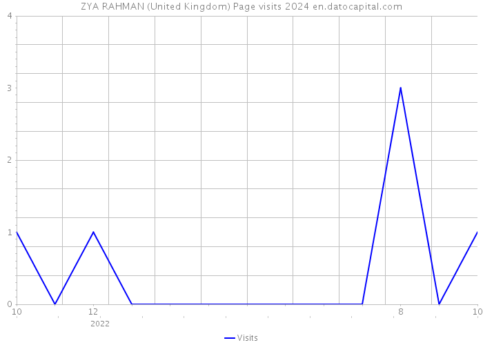 ZYA RAHMAN (United Kingdom) Page visits 2024 