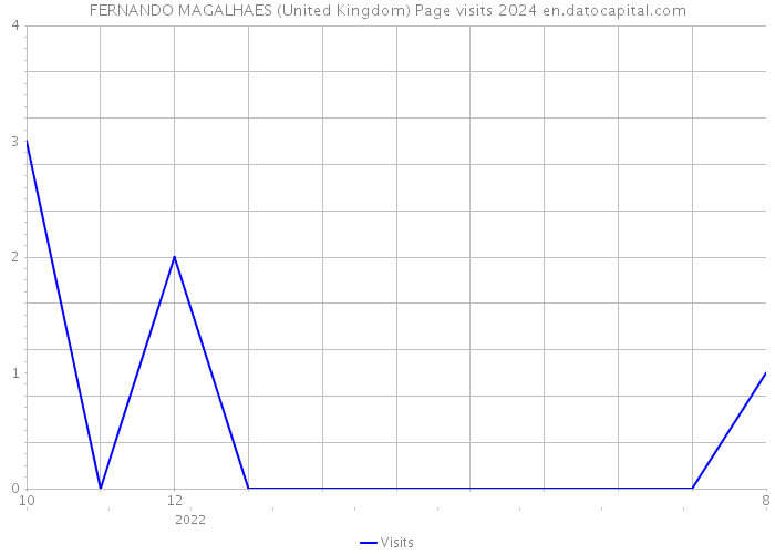 FERNANDO MAGALHAES (United Kingdom) Page visits 2024 