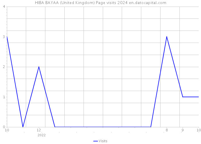 HIBA BAYAA (United Kingdom) Page visits 2024 