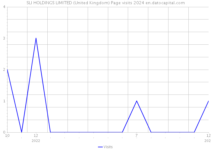 SLI HOLDINGS LIMITED (United Kingdom) Page visits 2024 