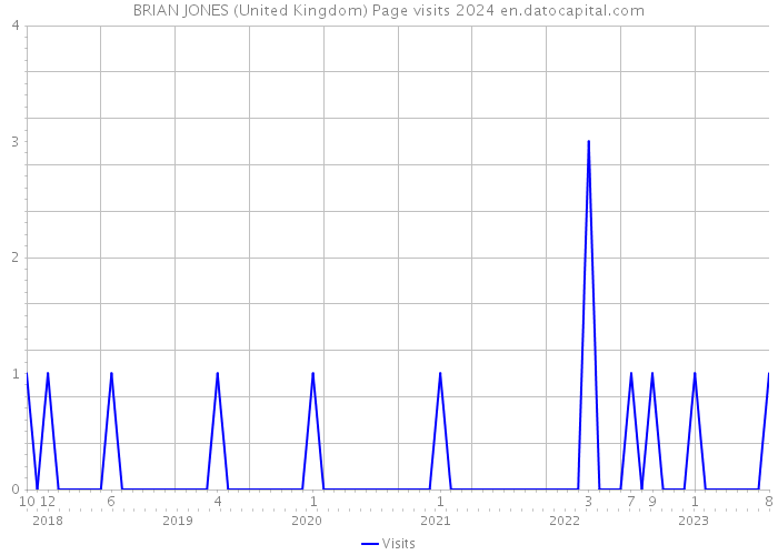 BRIAN JONES (United Kingdom) Page visits 2024 