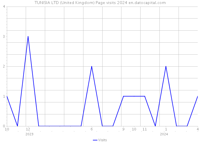 TUNISIA LTD (United Kingdom) Page visits 2024 