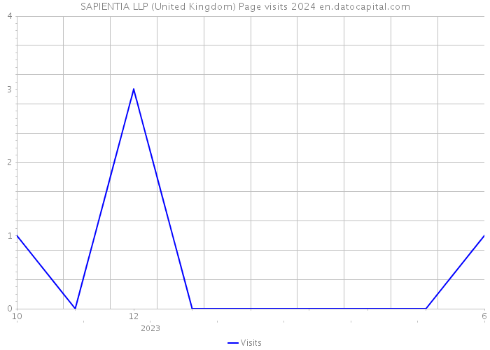 SAPIENTIA LLP (United Kingdom) Page visits 2024 
