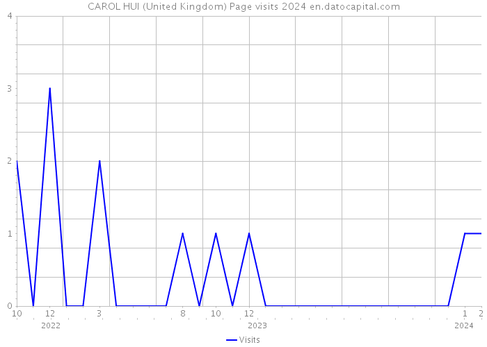CAROL HUI (United Kingdom) Page visits 2024 