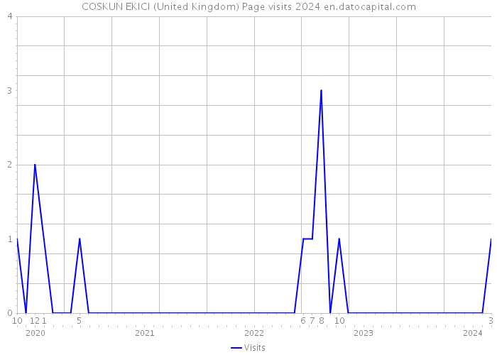 COSKUN EKICI (United Kingdom) Page visits 2024 