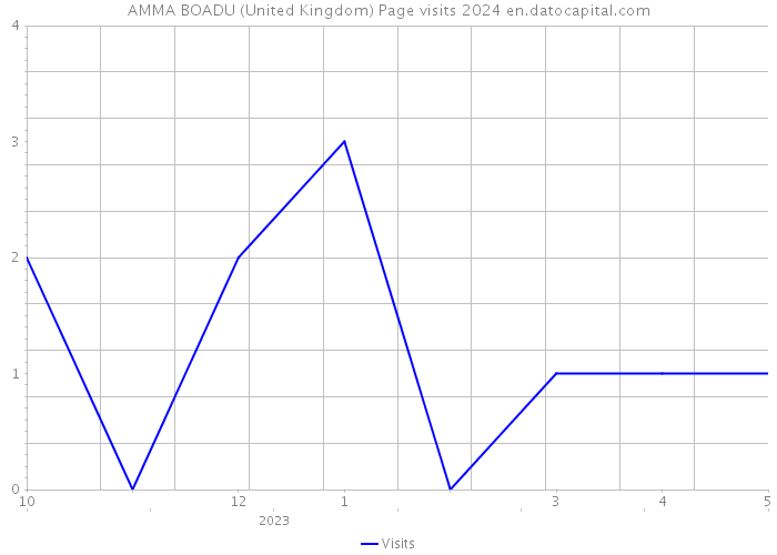 AMMA BOADU (United Kingdom) Page visits 2024 