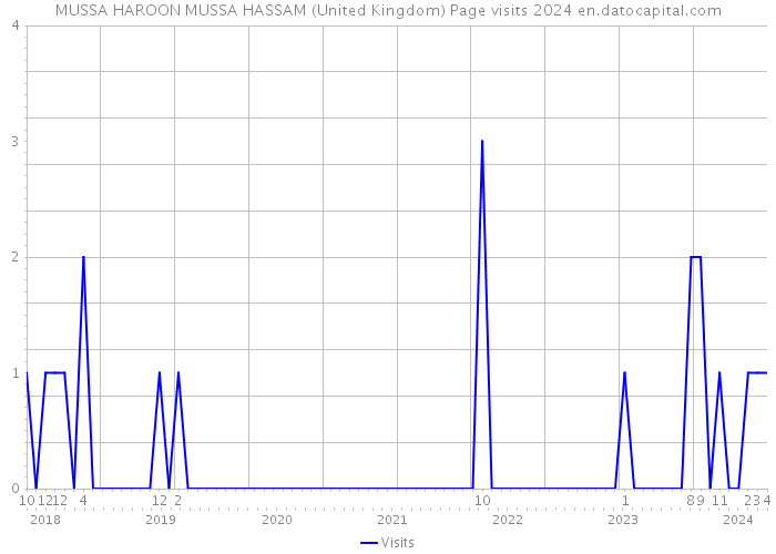 MUSSA HAROON MUSSA HASSAM (United Kingdom) Page visits 2024 