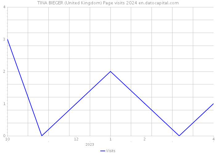 TINA BIEGER (United Kingdom) Page visits 2024 
