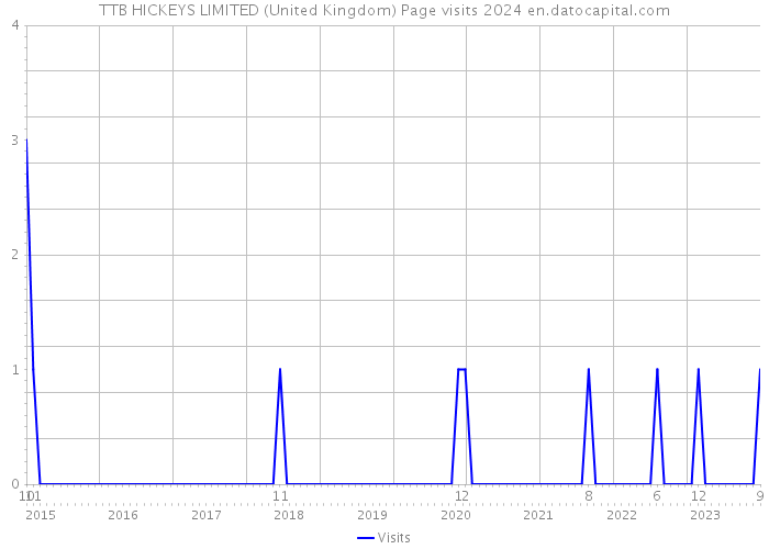 TTB HICKEYS LIMITED (United Kingdom) Page visits 2024 