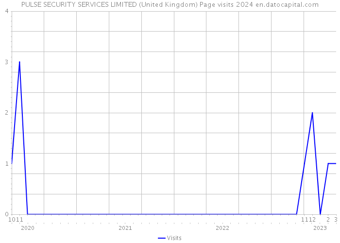 PULSE SECURITY SERVICES LIMITED (United Kingdom) Page visits 2024 