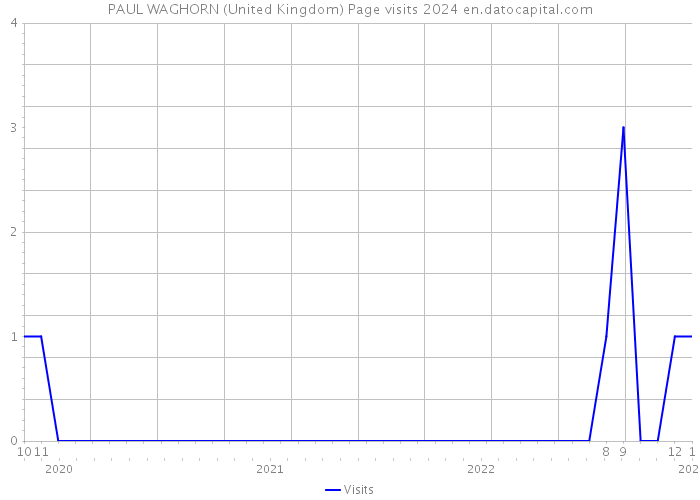 PAUL WAGHORN (United Kingdom) Page visits 2024 