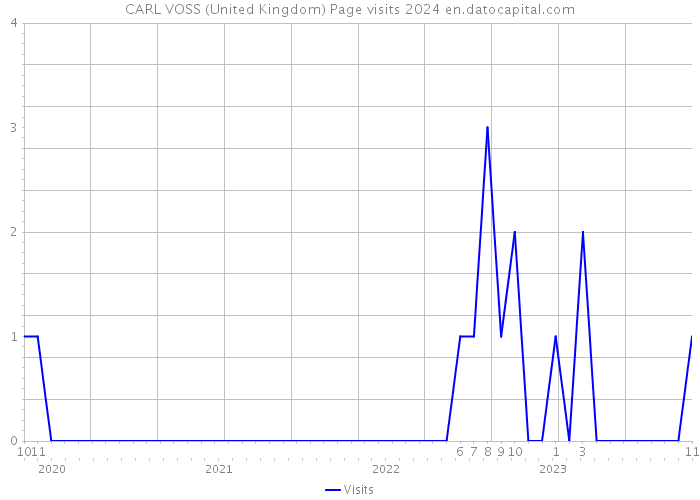 CARL VOSS (United Kingdom) Page visits 2024 