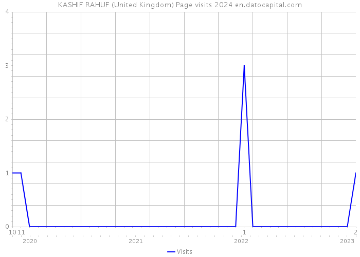 KASHIF RAHUF (United Kingdom) Page visits 2024 