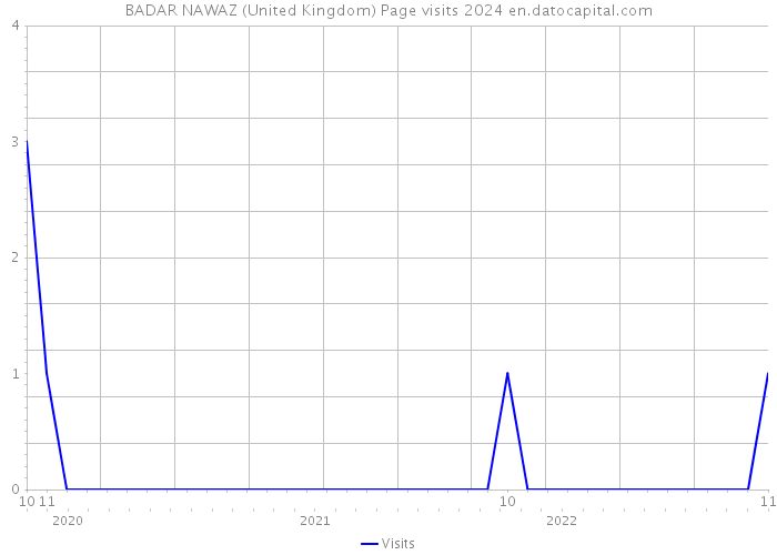 BADAR NAWAZ (United Kingdom) Page visits 2024 