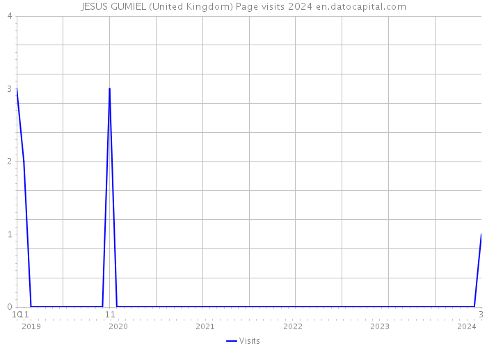 JESUS GUMIEL (United Kingdom) Page visits 2024 