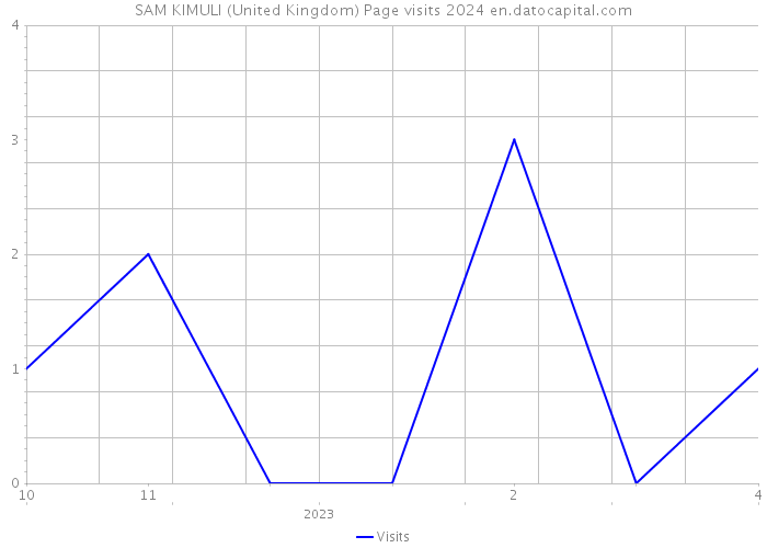 SAM KIMULI (United Kingdom) Page visits 2024 