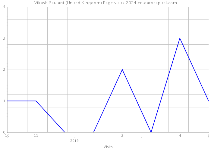 Vikash Saujani (United Kingdom) Page visits 2024 