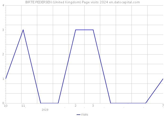 BIRTE PEDERSEN (United Kingdom) Page visits 2024 