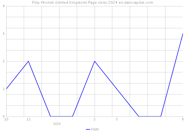 Filip Hronek (United Kingdom) Page visits 2024 
