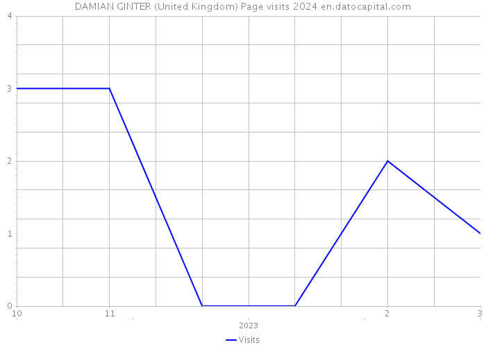 DAMIAN GINTER (United Kingdom) Page visits 2024 