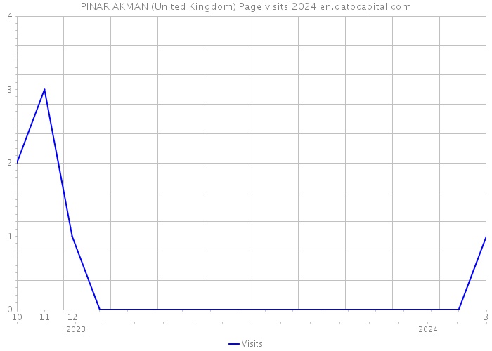 PINAR AKMAN (United Kingdom) Page visits 2024 