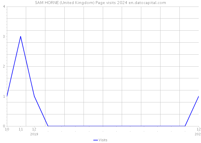 SAM HORNE (United Kingdom) Page visits 2024 